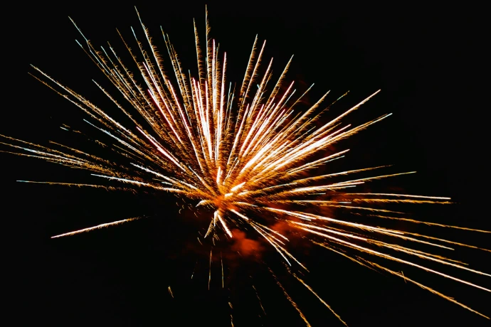 A firework is shown in the dark sky